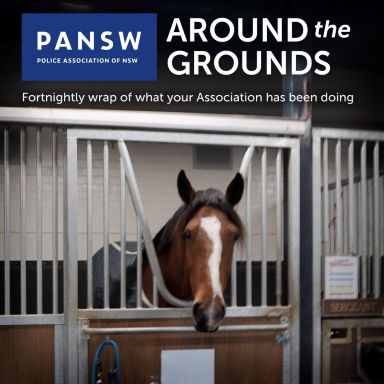 Thumbnail for article