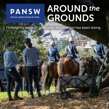 Thumbnail for article