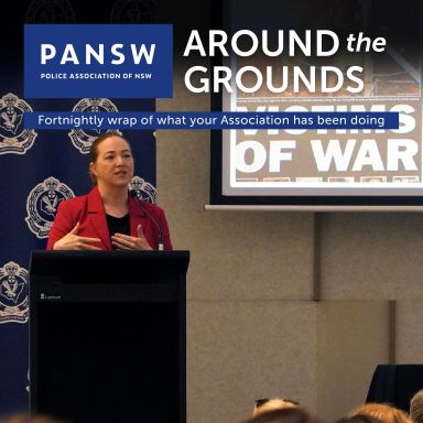 Thumbnail for article