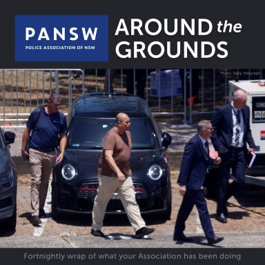 Thumbnail for article