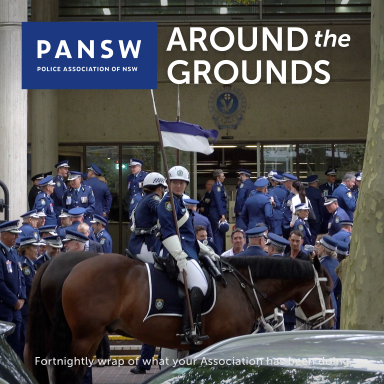 Thumbnail for article