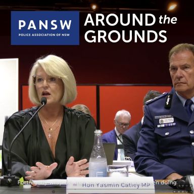 Thumbnail for article